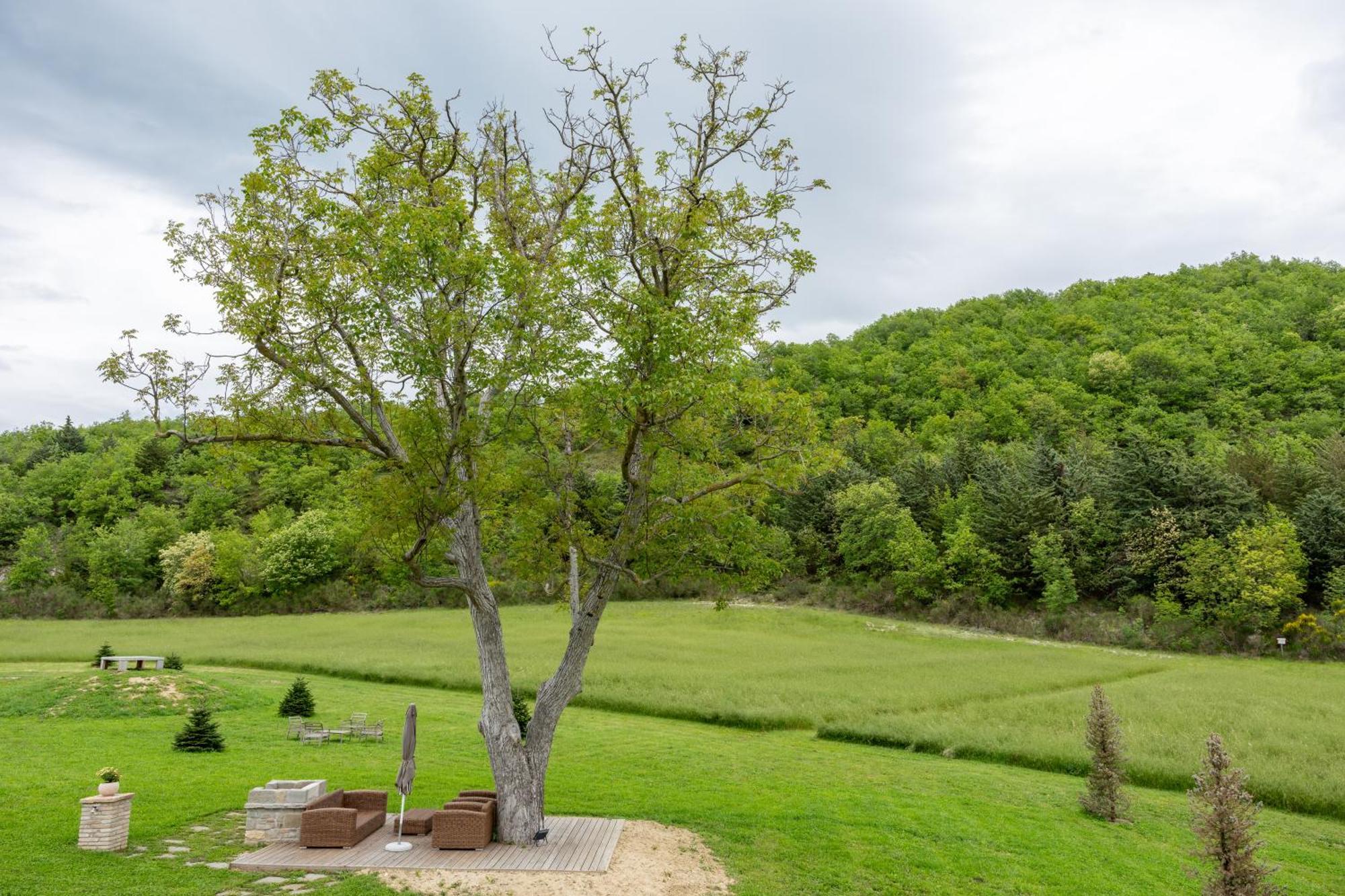 Aura Relais Otel Urbino Dış mekan fotoğraf